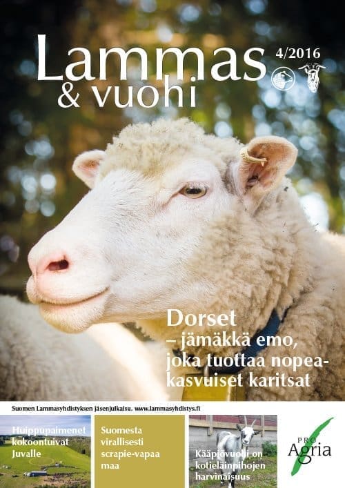 4_lammas-ja-vuohilehti_2016_kansi