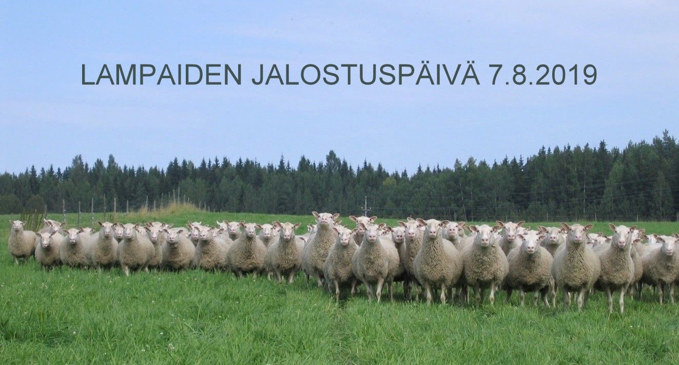 jalostuspäivä