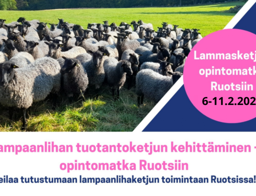 Lammasketju-hankkeen opintomatka Ruotsiin 6.-11.2.2023