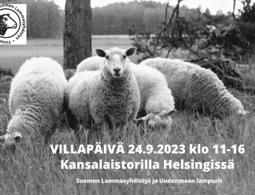 Villapäivä Kansalaistorilla Helsingissä 24.9.2023 klo 11-16