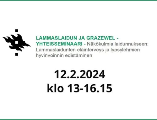 LammasLaidun ja GrazeWEL -hankkeiden yhteisseminaari 12.2.2024