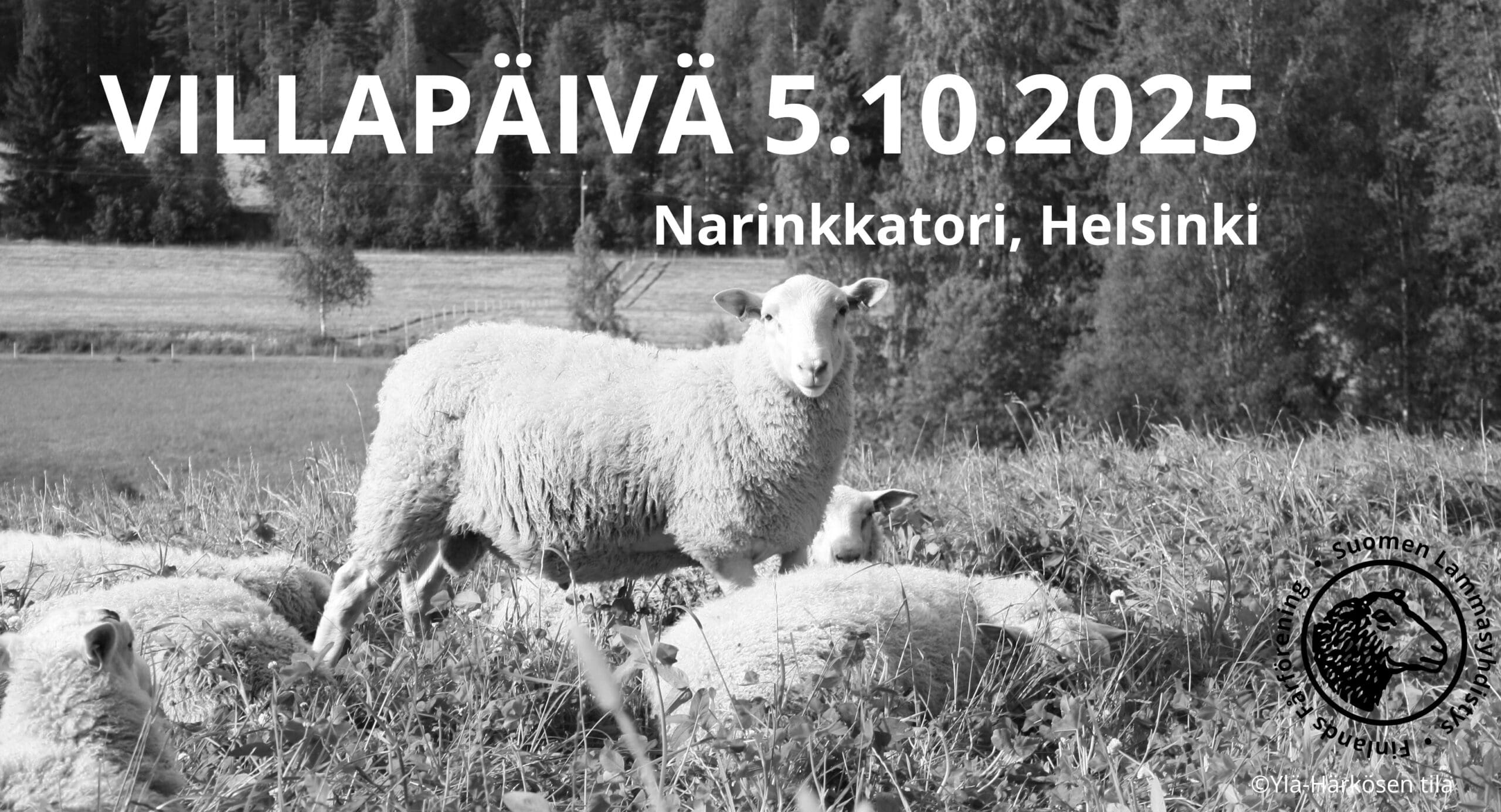 villapäivä2025snellman